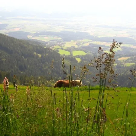 Alpenhotel Ozon Wolfgruber 3*