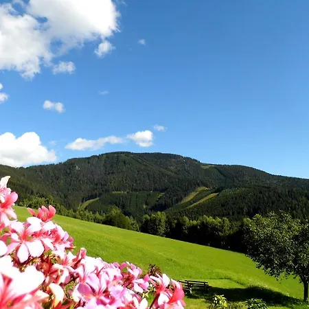 Alpenhotel Ozon Wolfgruber