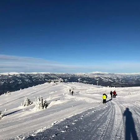 Alpenhotel Ozon Wolfgruber 3*